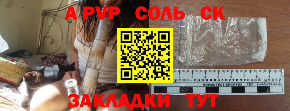Alfa_PVP СК Великие Луки